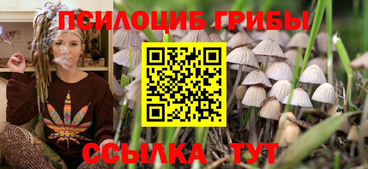 Псилоцибиновые грибы Psilocybe  Вход с VPN  Когалым  Псилоцибиновые грибы Psilocybe 